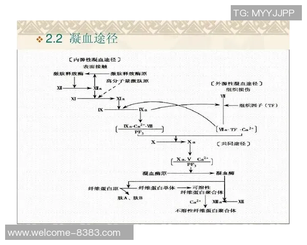 文班谈血栓伤病的医学分析与心理状态的积极应对 文班谈血栓伤病的医学分析与心理状态的积极应对
